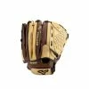 Mizuno Prospect Paraflex Series Youth Baseball Glove 11.75" (Throw Right) 1 Mizuno Prospect Paraflex Series Youth Baseball Glove 11.75" (Throw Right) -Cheap Bats Store 312940 RG80 33dacf96 a07a 43ff b460 a8cd4d9b09ba