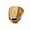 Mizuno Franchise Series Pitcher/Outfield Baseball Glove 12.0" (Throw Right) -Cheap Bats Store 312958 R878