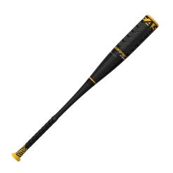 Easton 2023 Hype Comp USSSA Baseball Bat: E006846