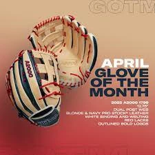 Wilson 2021 Glove Of The Month